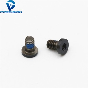 M2 stainless steel torx drive black PVD precision screw