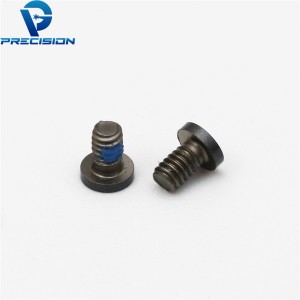 M2 stainless steel torx drive black PVD precision screw