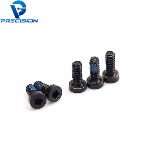 Standard or custom stainless steel torx drive PVD micro screw
