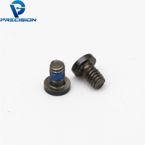 M2 stainless steel torx drive black PVD precision screw